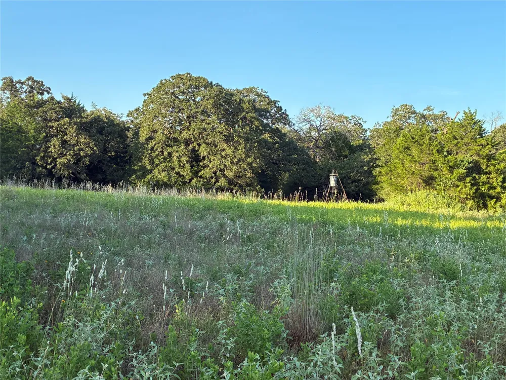 2933 County Road 457 Thorndale, TX 76577