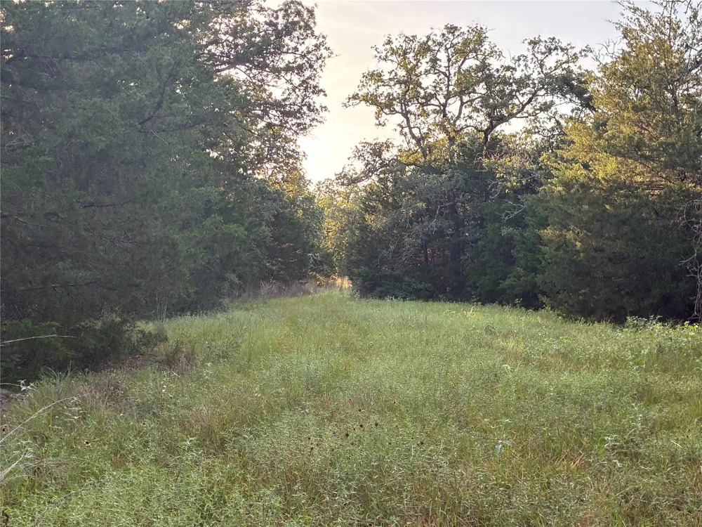 2933 County Road 457 Thorndale, TX 76577