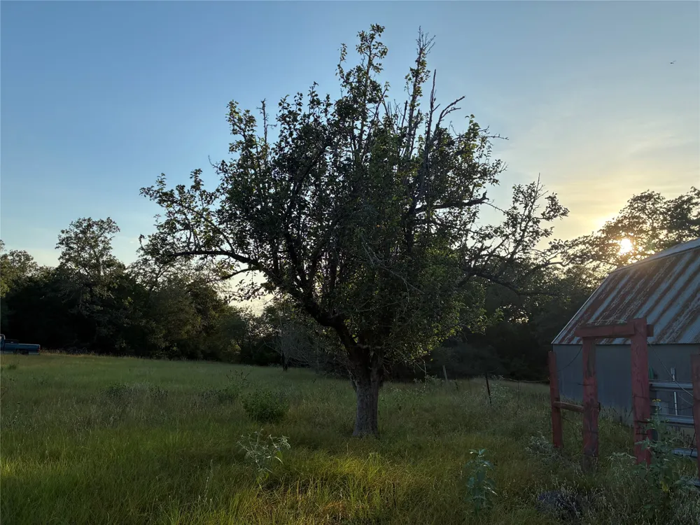 2933 County Road 457 Thorndale, TX 76577