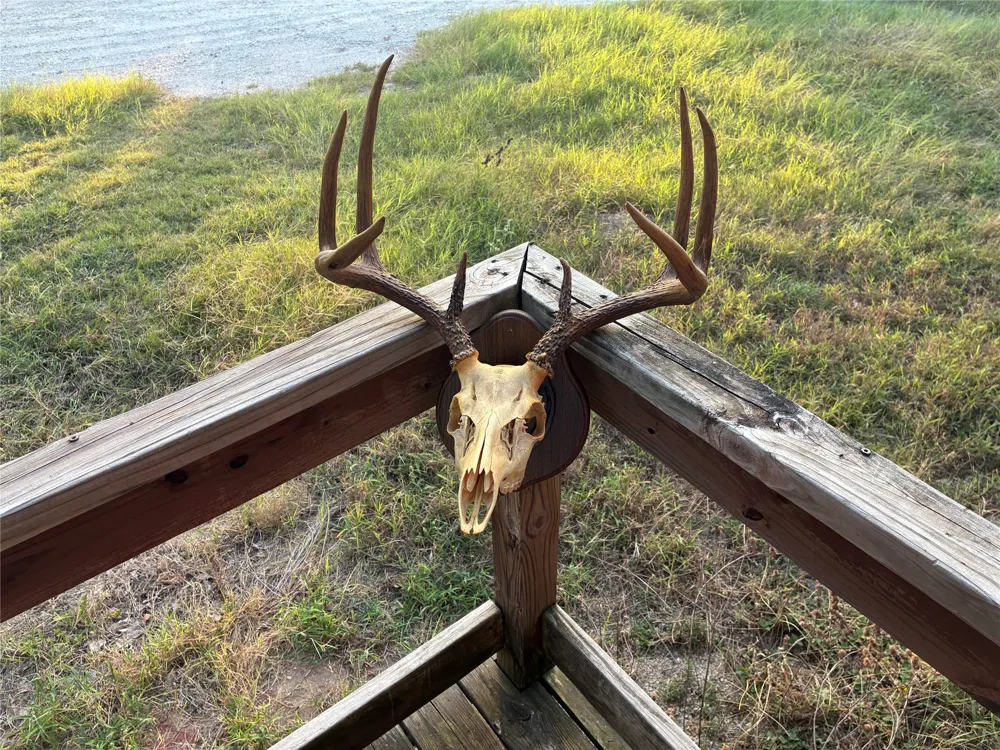 2933 County Road 457 Thorndale, TX 76577