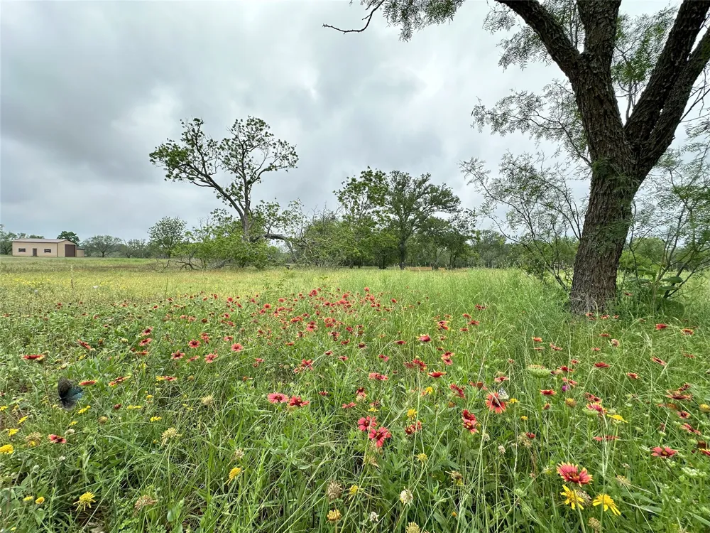 379 Vintners Way Fredericksburg, TX 78624
