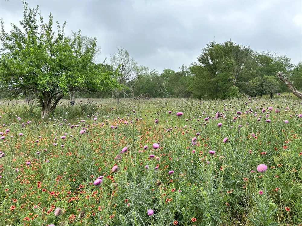 379 Vintners Way Fredericksburg, TX 78624