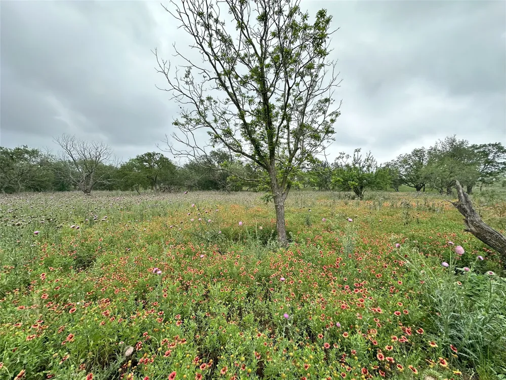 379 Vintners Way Fredericksburg, TX 78624