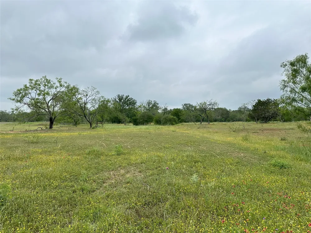 379 Vintners Way Fredericksburg, TX 78624