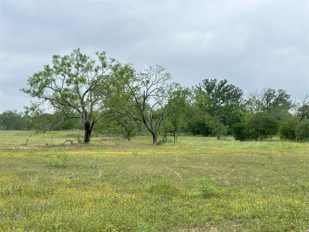 379 Vintners Way Fredericksburg, TX 78624