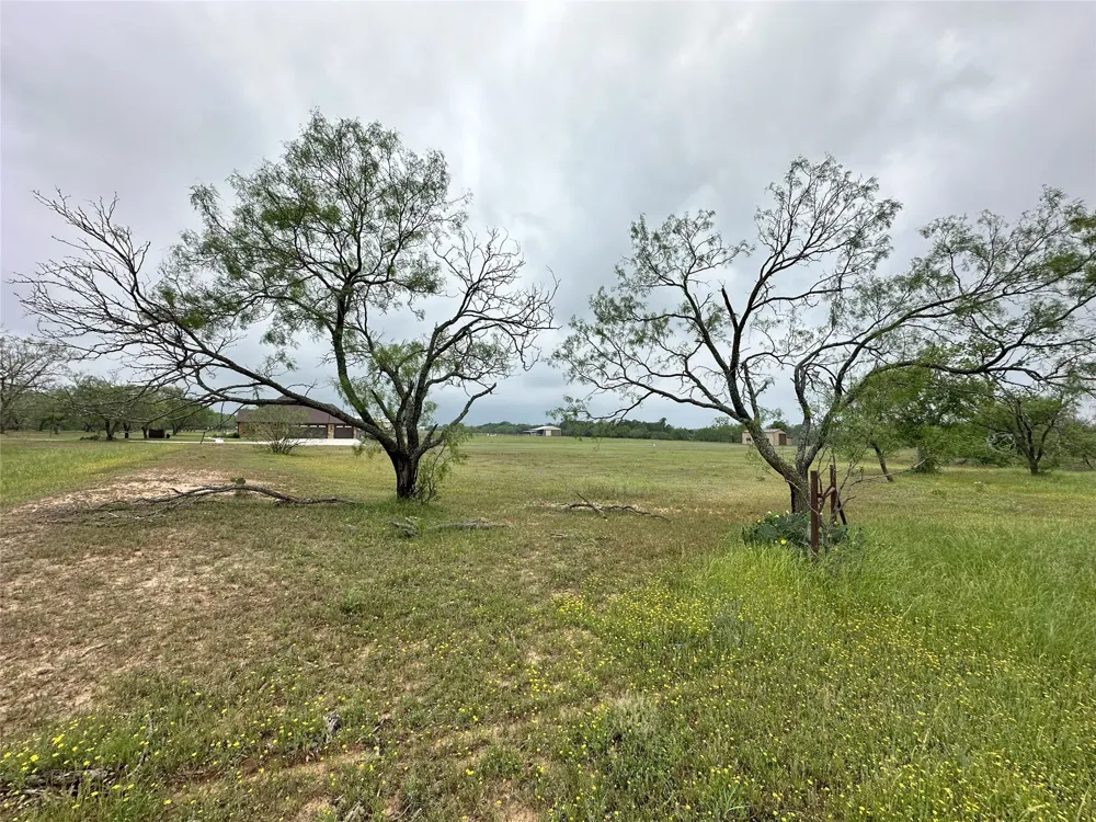 379 Vintners Way Fredericksburg, TX 78624
