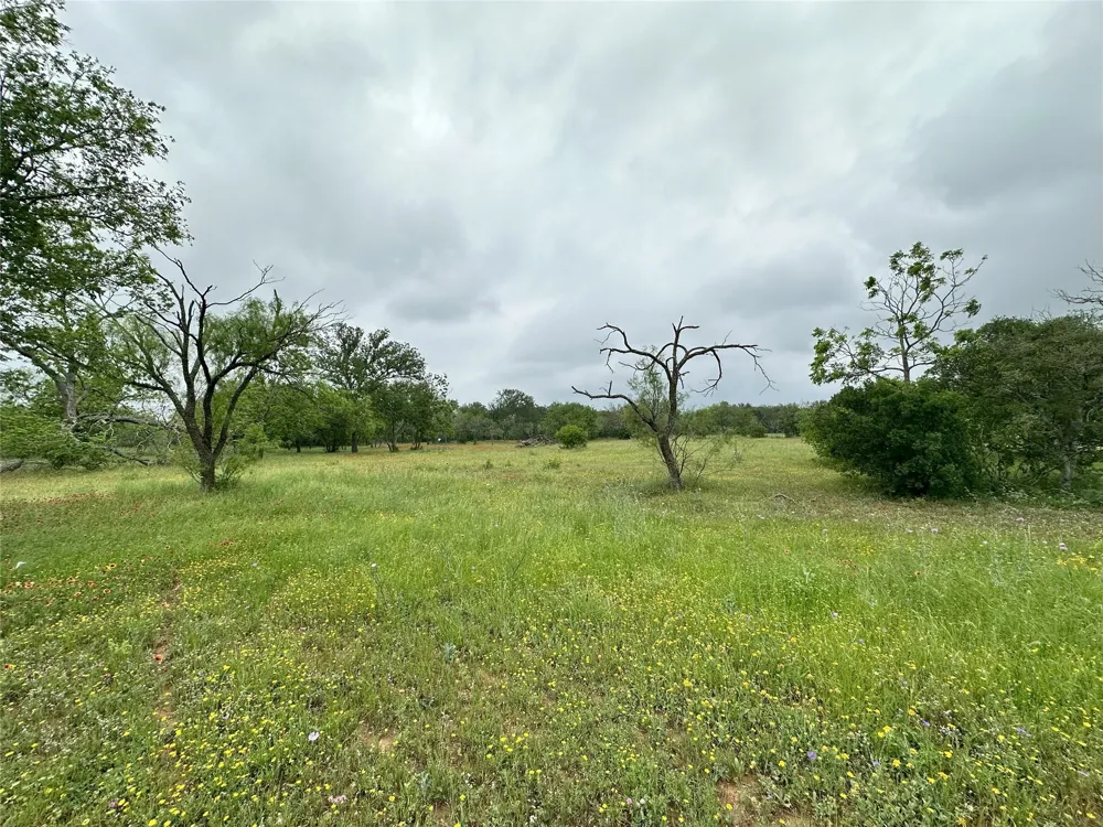 379 Vintners Way Fredericksburg, TX 78624