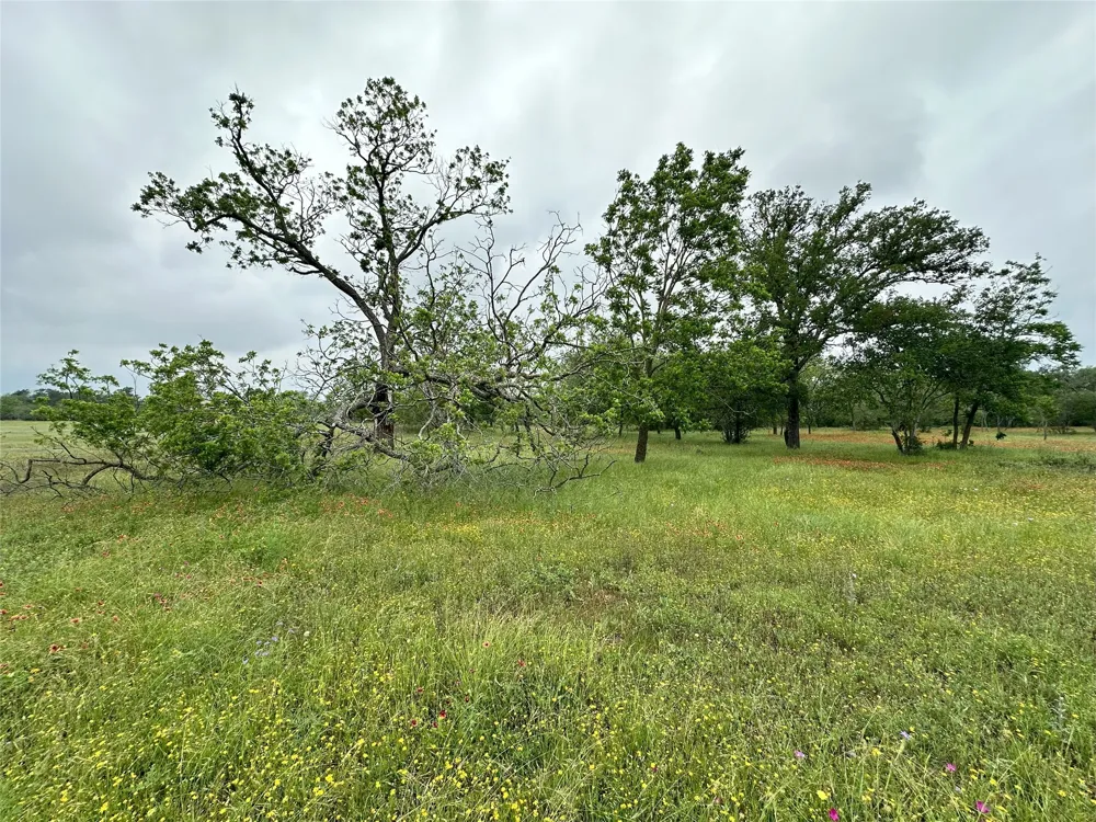 379 Vintners Way Fredericksburg, TX 78624