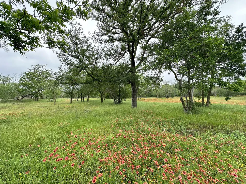 379 Vintners Way Fredericksburg, TX 78624