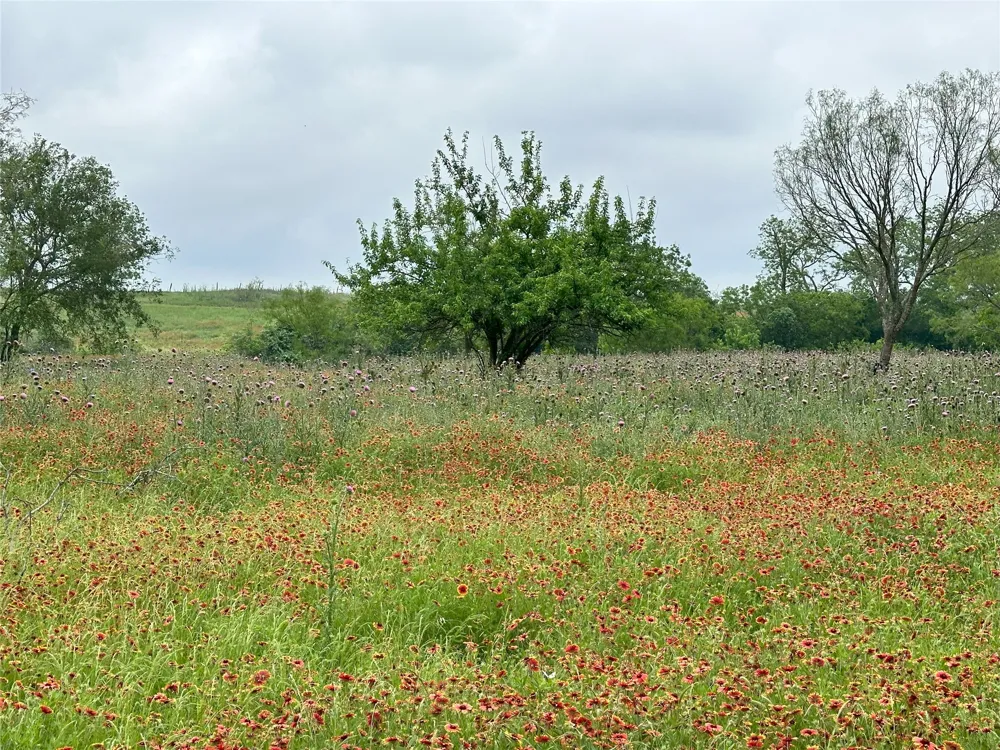 379 Vintners Way Fredericksburg, TX 78624