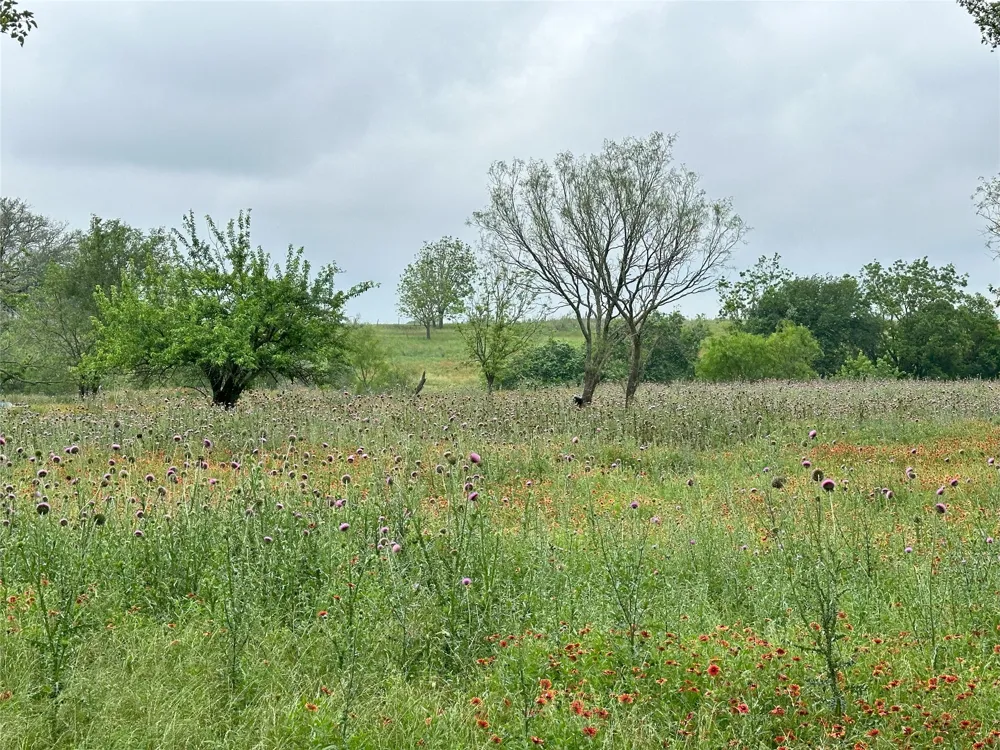 379 Vintners Way Fredericksburg, TX 78624