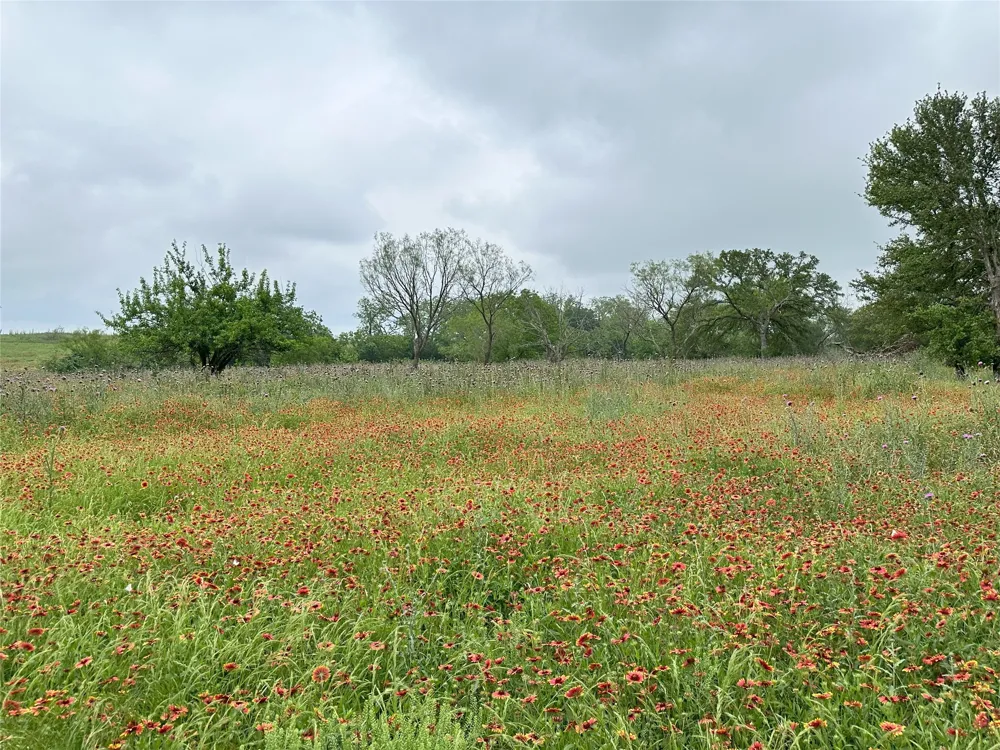 379 Vintners Way Fredericksburg, TX 78624