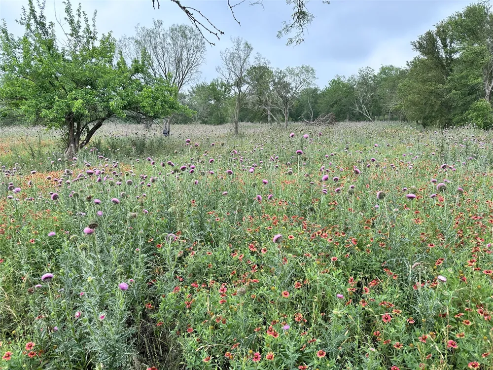 379 Vintners Way Fredericksburg, TX 78624