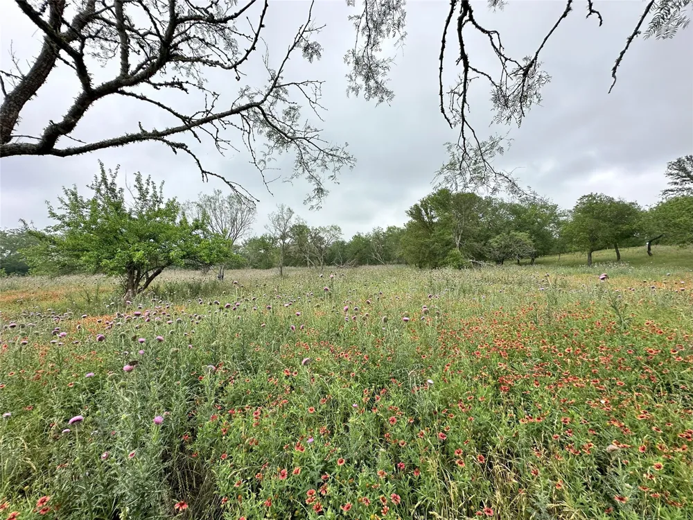 379 Vintners Way Fredericksburg, TX 78624