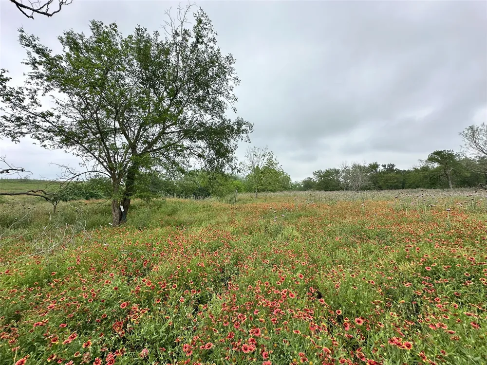 379 Vintners Way Fredericksburg, TX 78624