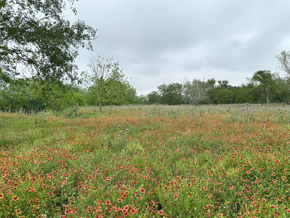 379 Vintners Way Fredericksburg, TX 78624