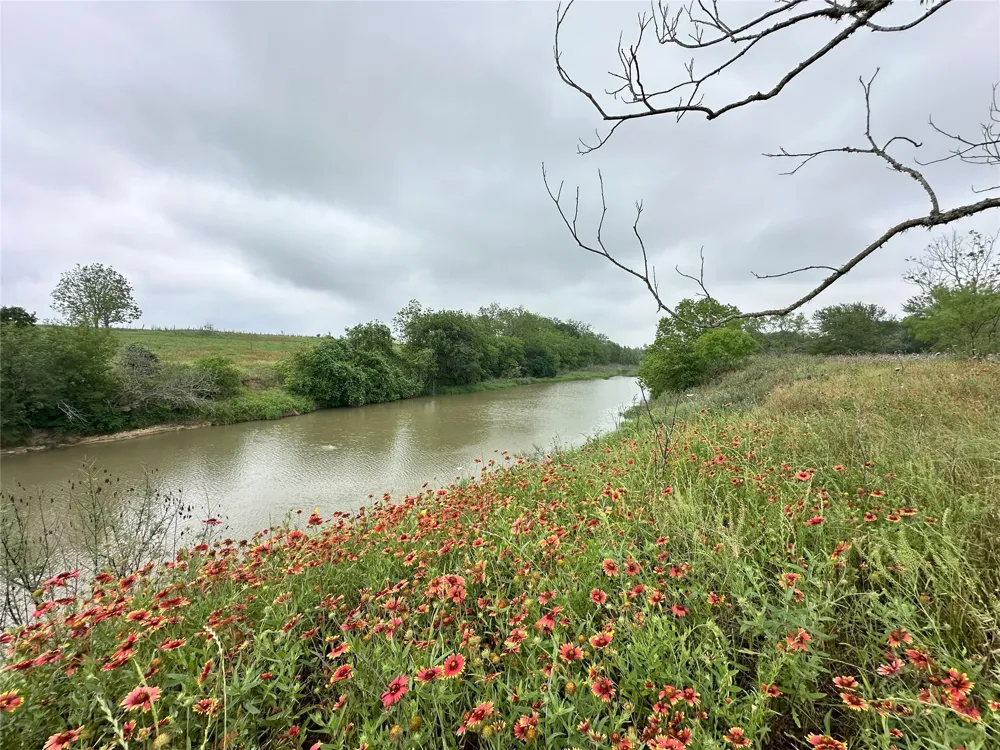 379 Vintners Way Fredericksburg, TX 78624
