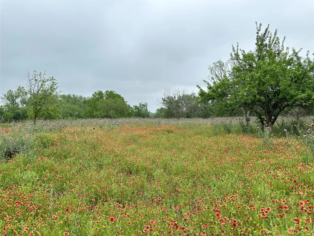 379 Vintners Way Fredericksburg, TX 78624