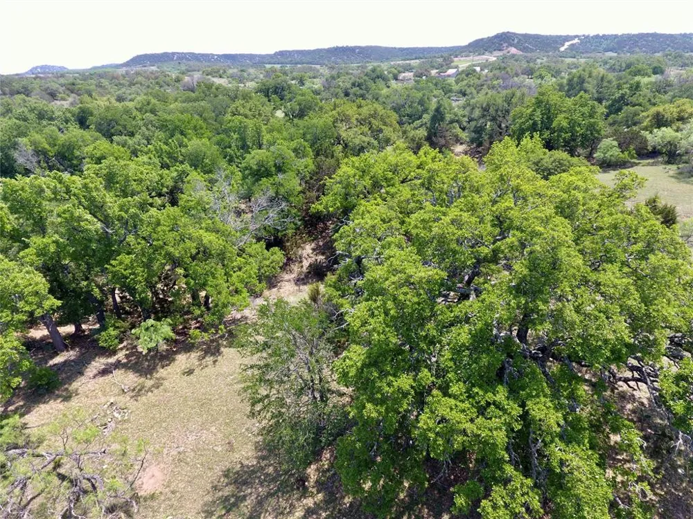 2655 Welgehausen Road Fredericksburg, TX 78624