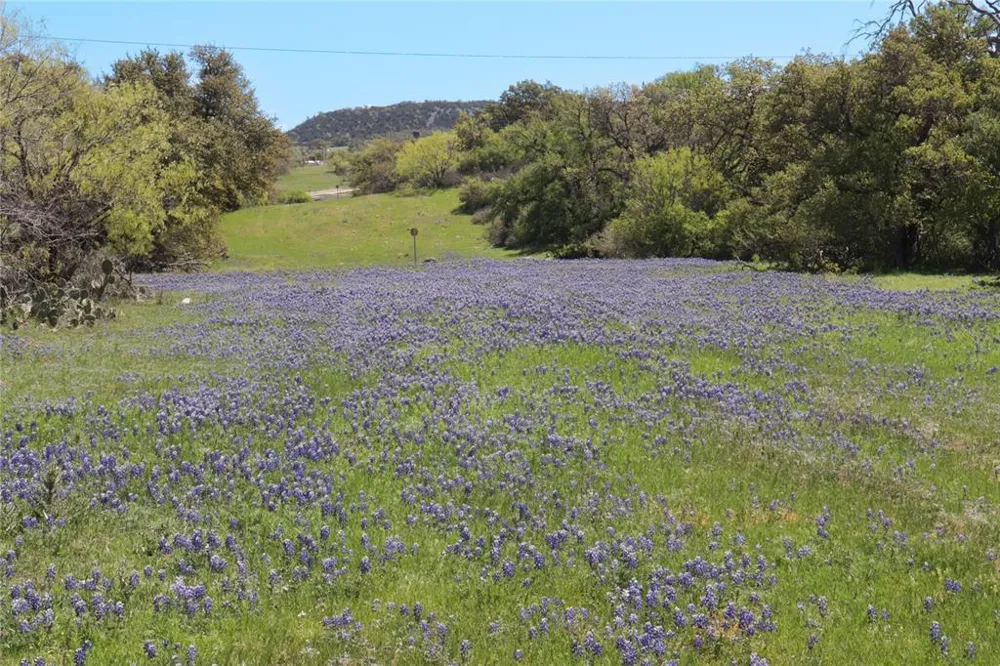 2655 Welgehausen Road Fredericksburg, TX 78624