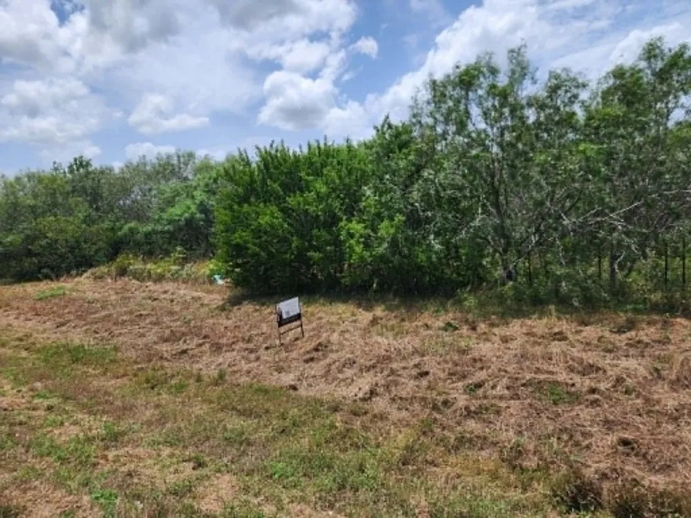 Fm 466 Street Cost, TX 78614