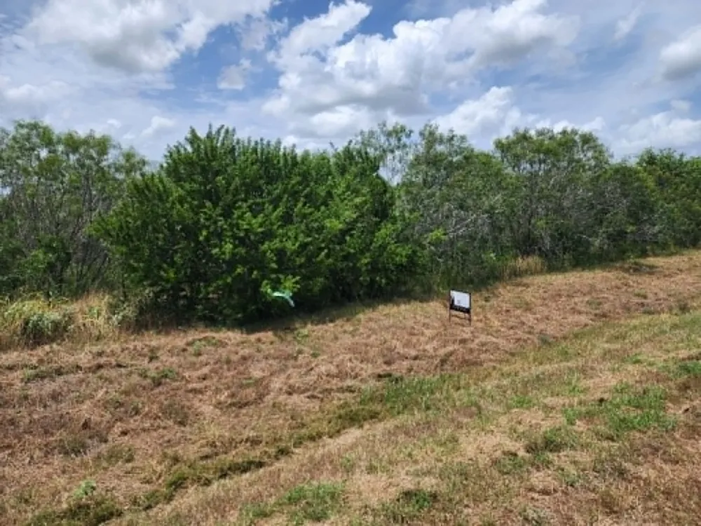 Fm 466 Street Cost, TX 78614
