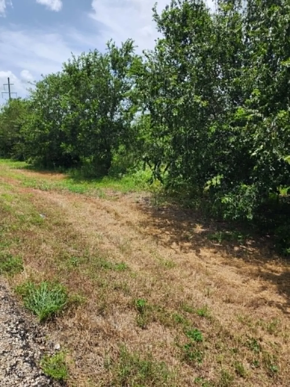 Fm 466 Street Cost, TX 78614