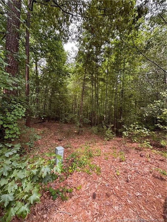 265 Fairway Lane Sanford, NC 27332