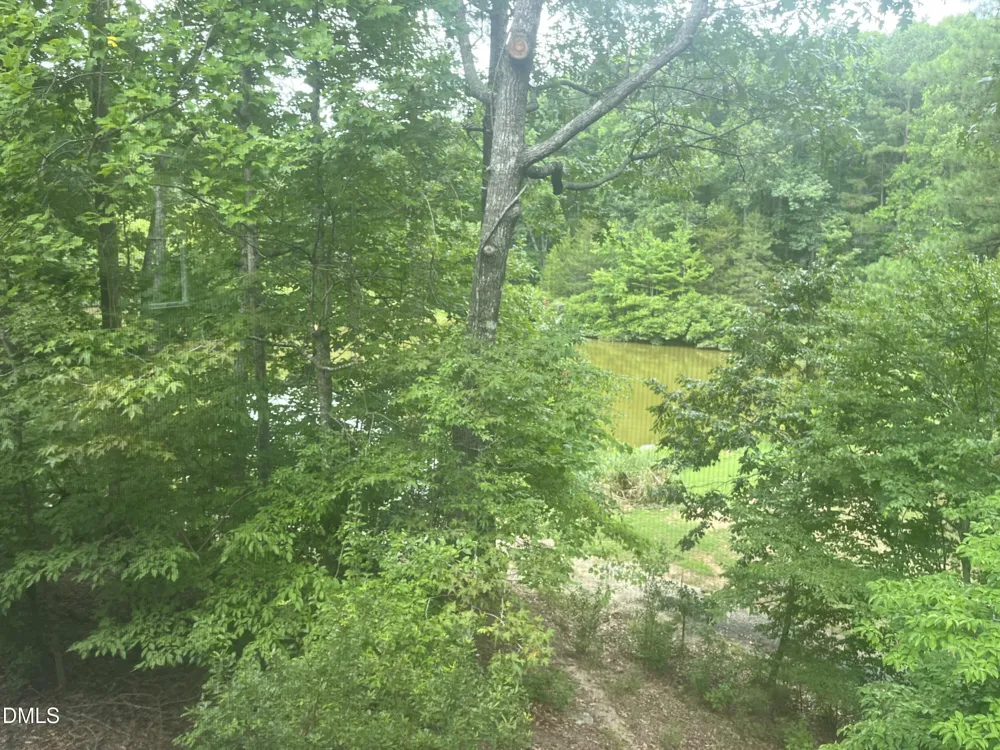 458 Beechmast Pittsboro, NC 27312