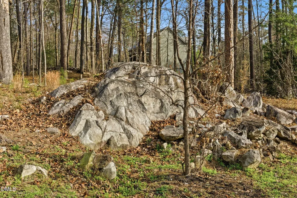 798 Horizon Drive Pittsboro, NC 27312