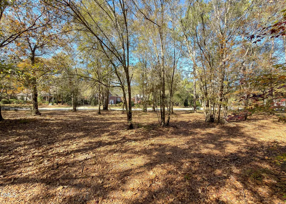 167 River Ridge Drive Wallace, NC 28466