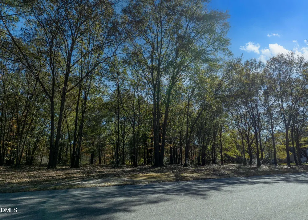 167 River Ridge Drive Wallace, NC 28466