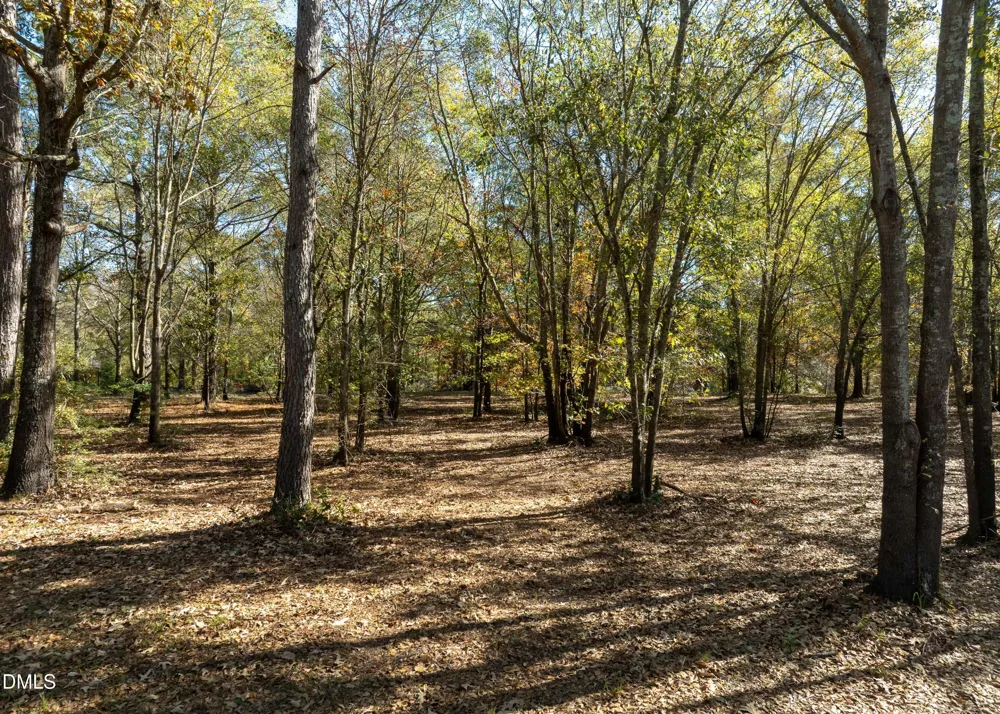 167 River Ridge Drive Wallace, NC 28466