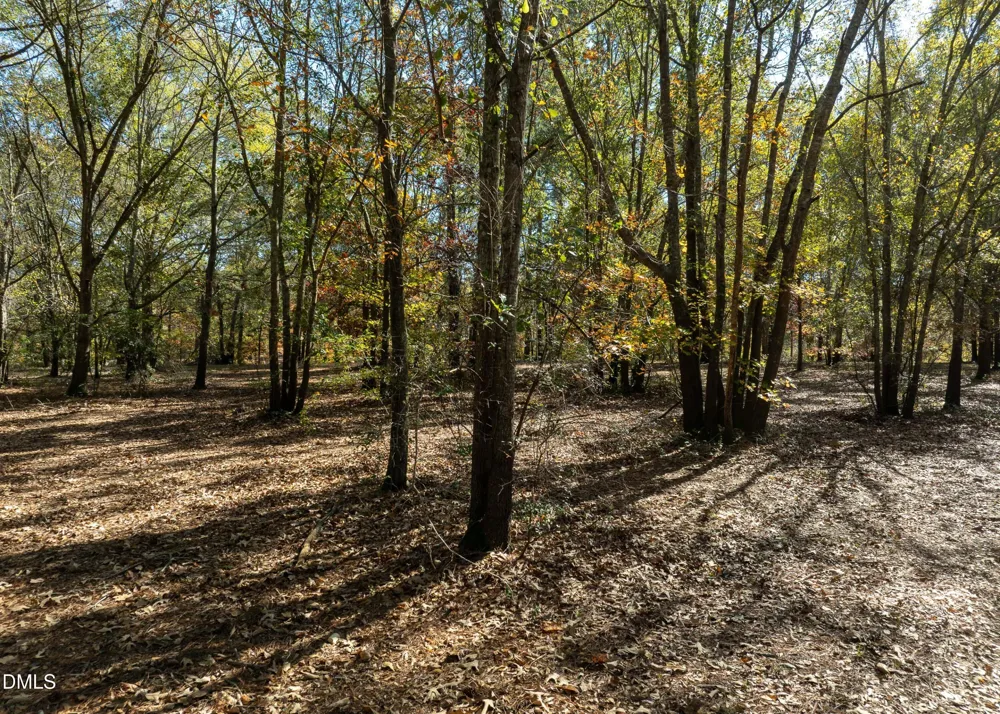 167 River Ridge Drive Wallace, NC 28466