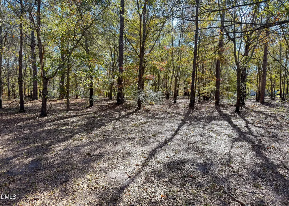 167 River Ridge Drive Wallace, NC 28466