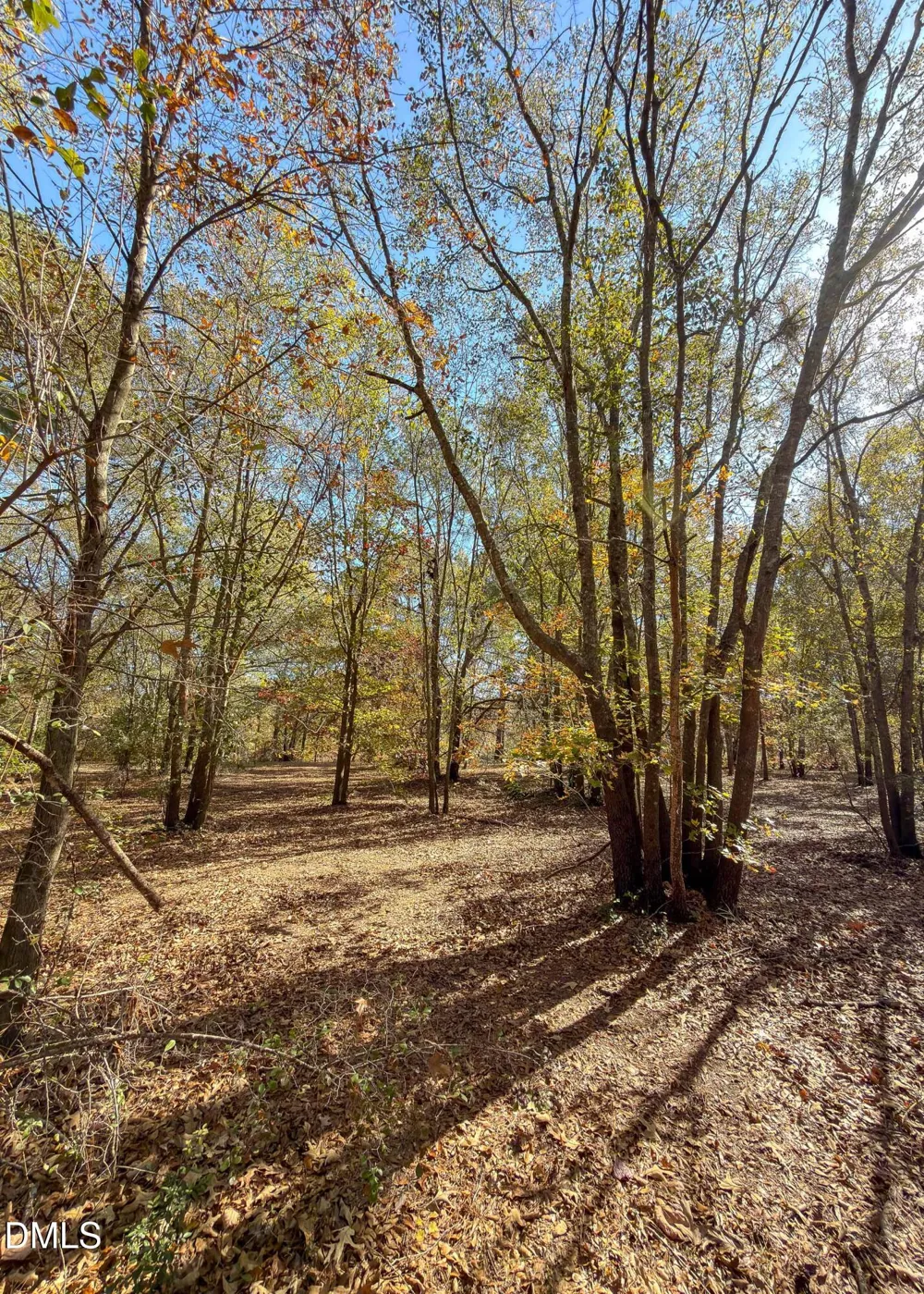 167 River Ridge Drive Wallace, NC 28466