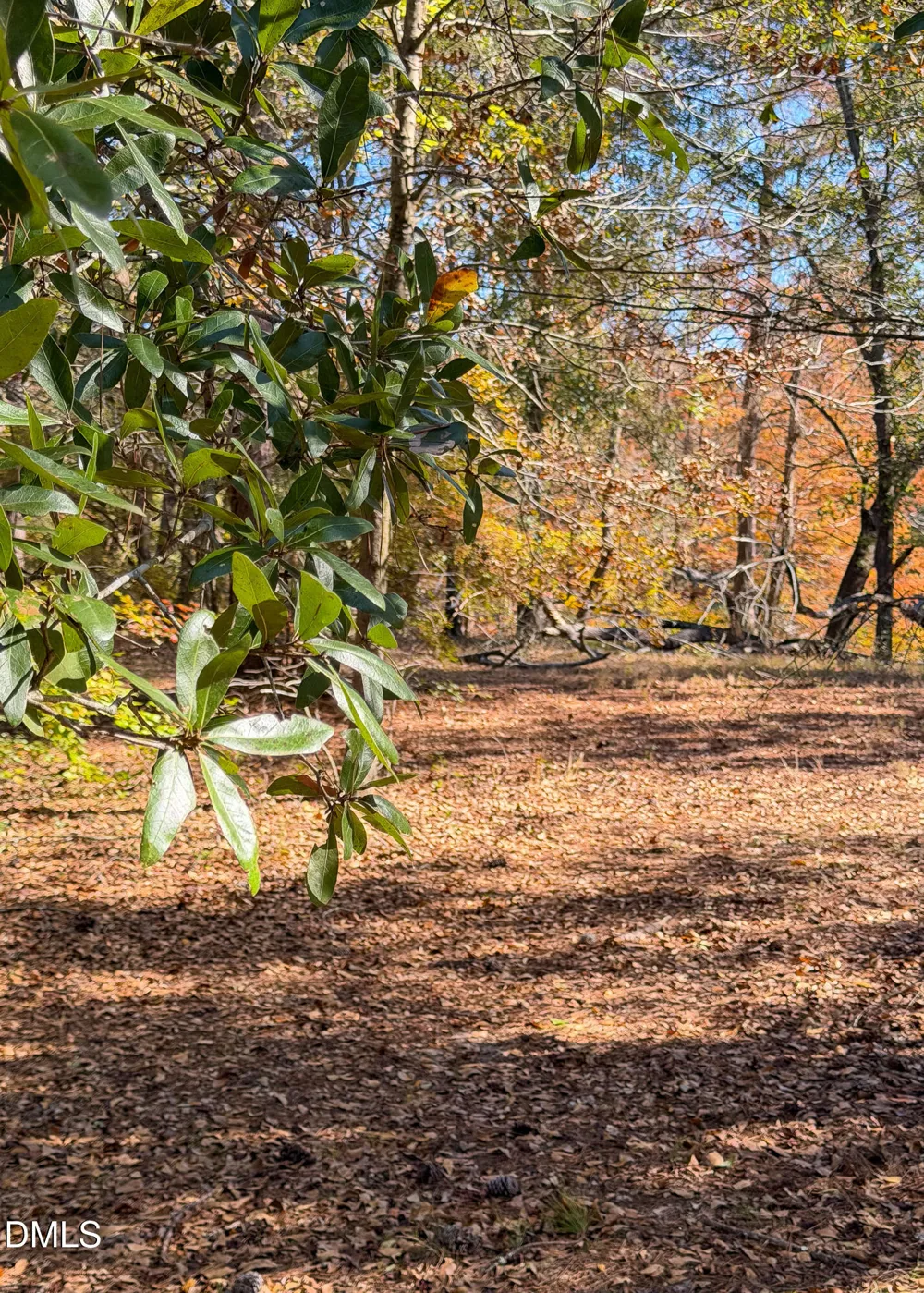 167 River Ridge Drive Wallace, NC 28466