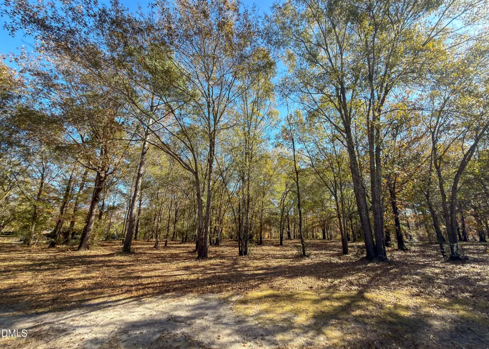 167 River Ridge Drive Wallace, NC 28466