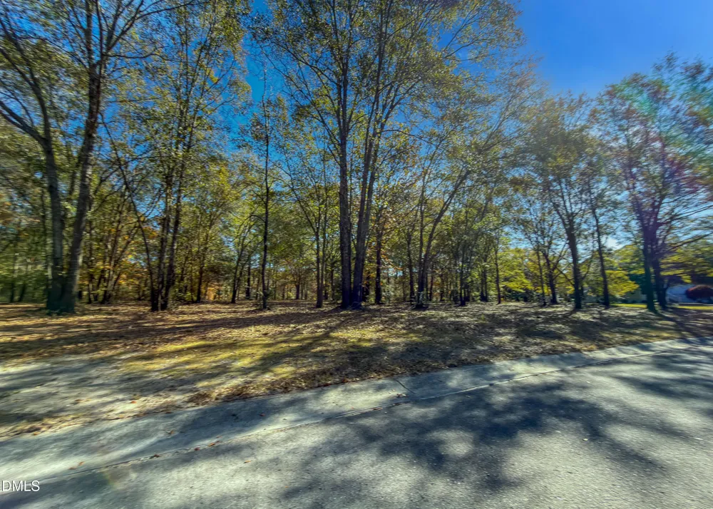 167 River Ridge Drive Wallace, NC 28466