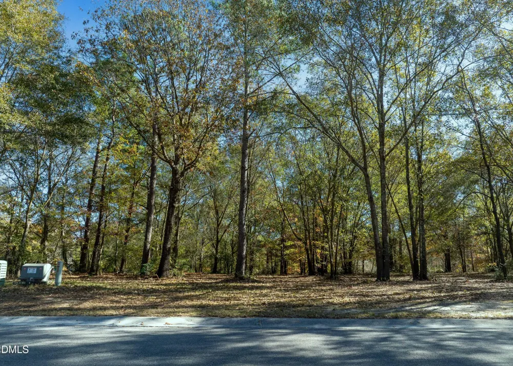 167 River Ridge Drive Wallace, NC 28466