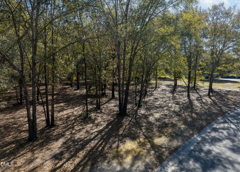 167 River Ridge Drive Wallace, NC 28466