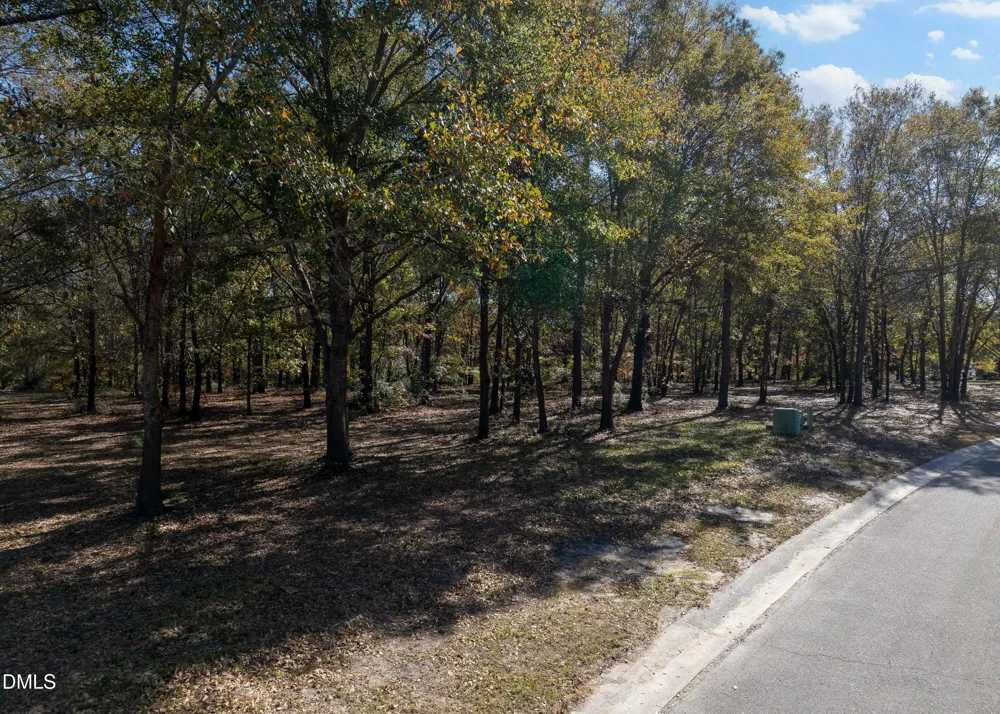 167 River Ridge Drive Wallace, NC 28466