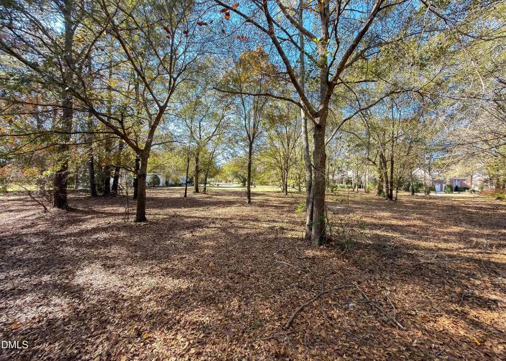 167 River Ridge Drive Wallace, NC 28466