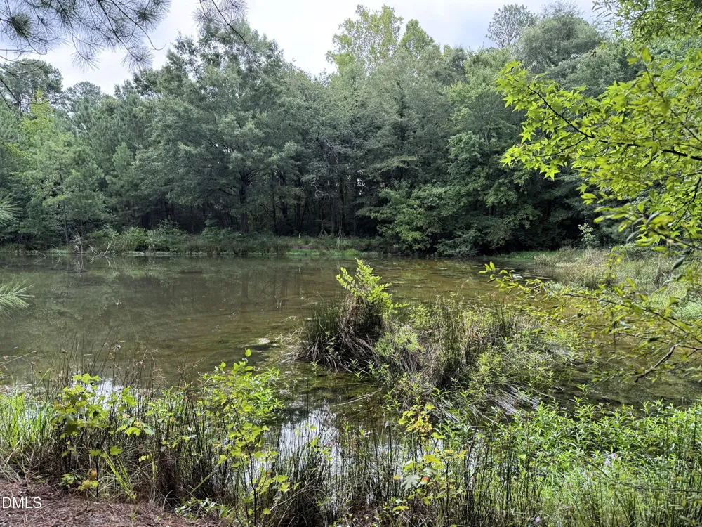 1755 Bunnlevel Erwin Road Bunnlevel, NC 28323