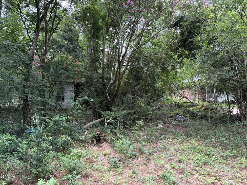 1755 Bunnlevel Erwin Road Bunnlevel, NC 28323