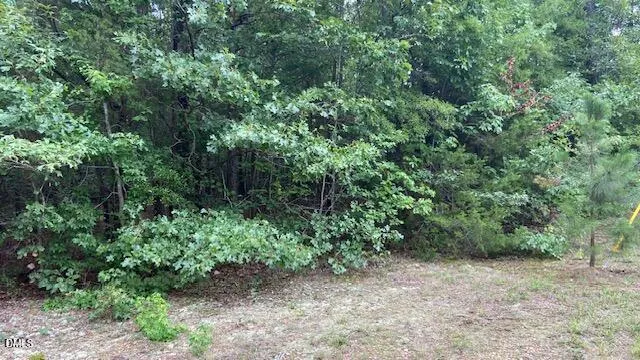 0 Coe Street Timberlake, NC 27583