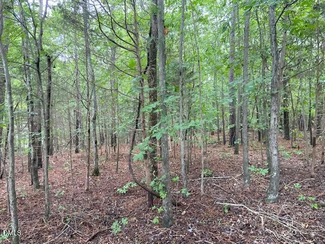 0 Coe Street Timberlake, NC 27583