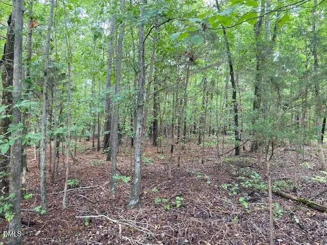 0 Coe Street Timberlake, NC 27583