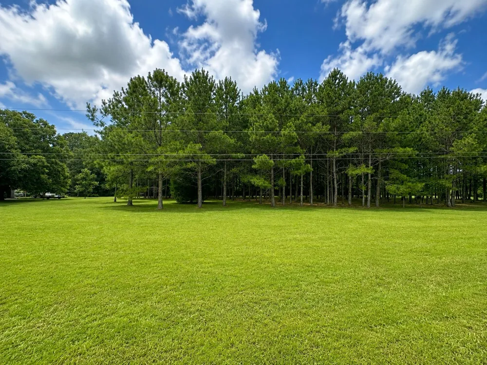 28 Bunn Road Kenly, NC 27542