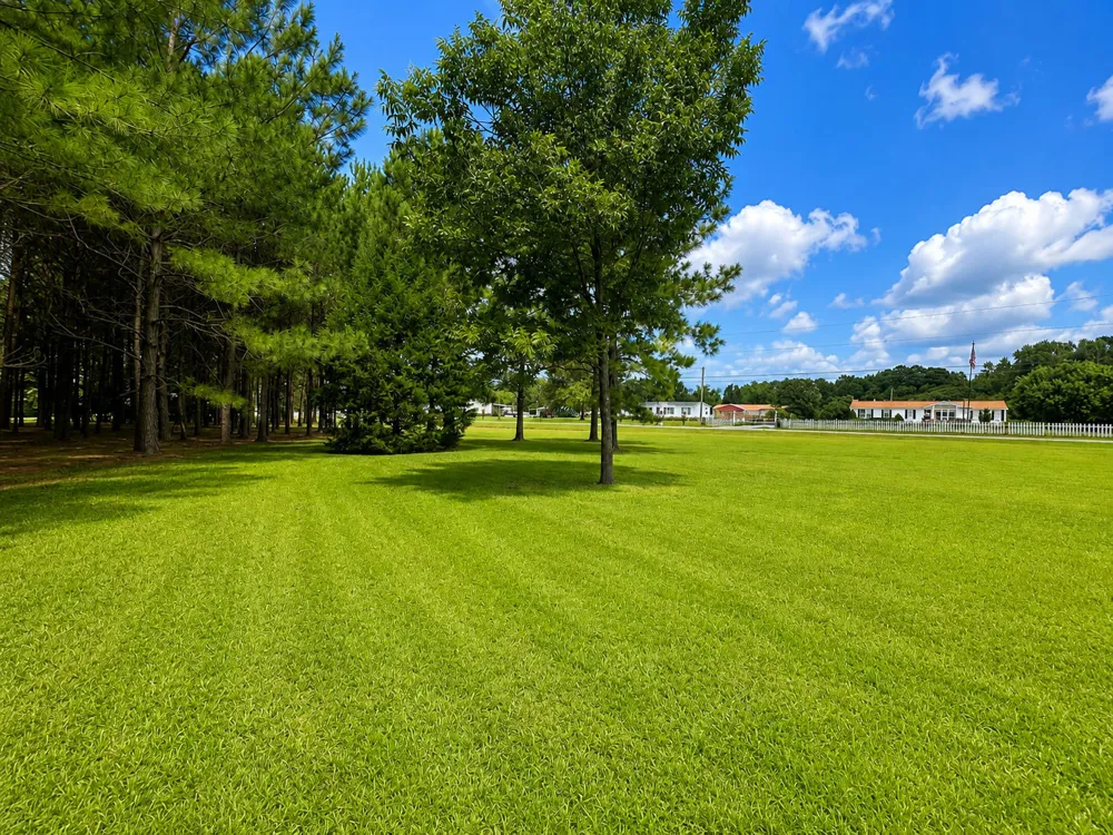 28 Bunn Road Kenly, NC 27542